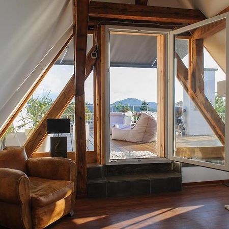 City Penthouse Mit Dachterrasse 프라이부르크 임 브리스가우 외부 사진